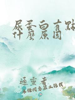 尿蛋白有点高是什么原因