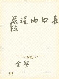 尿道内口长小肉粒