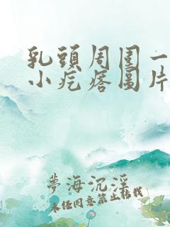 乳头周围一圈长小疙瘩图片