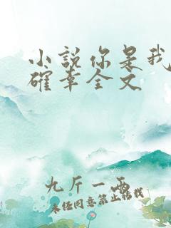 小说你是我的小确幸全文