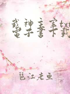 武神主宰txt电子书下载