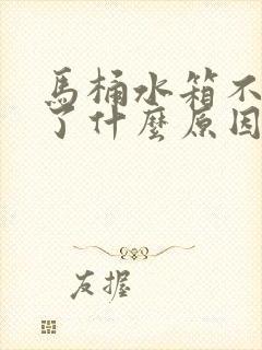 马桶水箱不进水了什么原因造成的