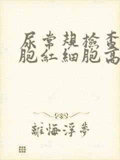 尿常规检查白细胞红细胞高怎么回事