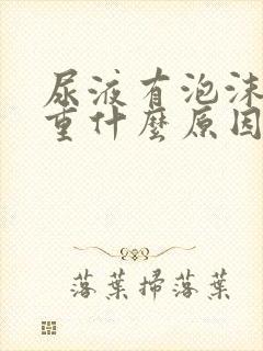 尿液有泡沫气味重什么原因