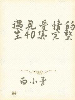 遇见爱情的利先生40集完整版