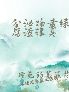 分泌物黄绿色豆腐渣很臭