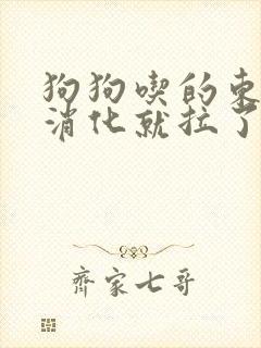 狗狗吃的东西没消化就拉了