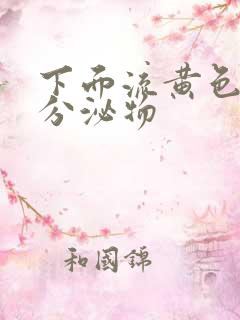 下面流黄色脓状分泌物