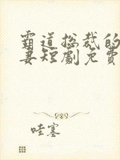 霸道总裁的小娇妻短剧免费观看全集