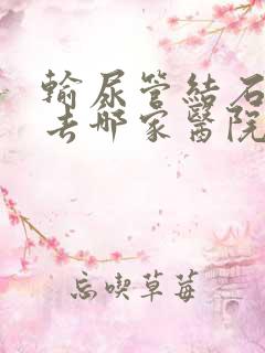 输尿管结石治疗去哪家医院