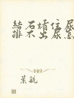 结石堵住尿道口排不出尿怎么办