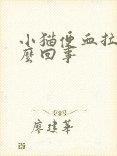 小猫便血拉稀怎么回事