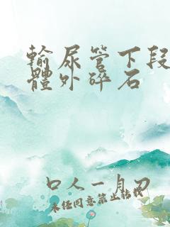 输尿管下段结石体外碎石