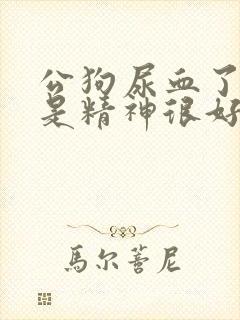 公狗尿血了 但是精神很好