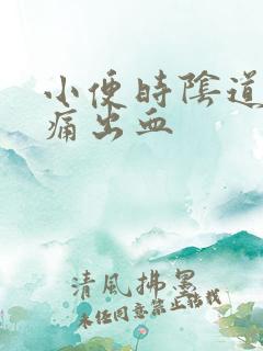 小便时阴道口刺痛出血