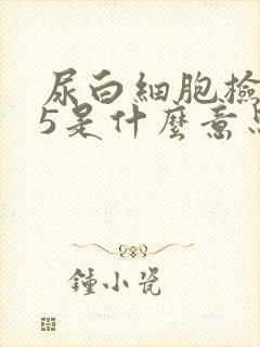 尿白细胞检查75是什么意思