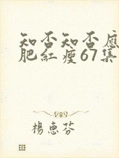 知否知否应是绿肥红瘦67集在线观看