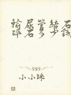 输尿管结石体外碎石多少钱