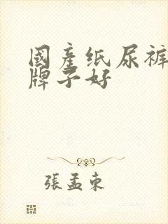 国产纸尿裤什么牌子好