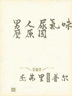 男人尿气味重什么原因