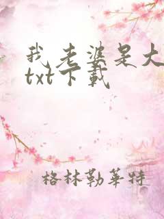 我老婆是大明星txt下载
