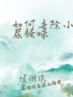 如何去除小狗的尿骚味