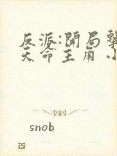 反派:开局击杀天命主角 小说