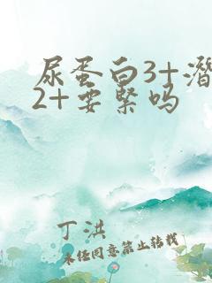 尿蛋白3+潜血2+要紧吗