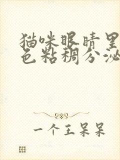 猫咪眼睛里有黄色粘稠分泌物