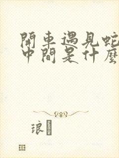 开车遇见蛇在路中间是什么征兆