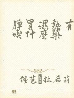 脾胃湿热有口气吃什么药