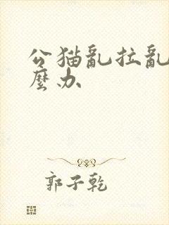 公猫乱拉乱尿怎么办