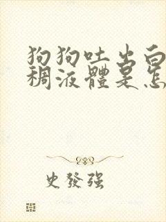 狗狗吐出白色粘稠液体是怎么回事