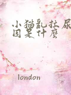 小猫乱拉尿的原因是什么