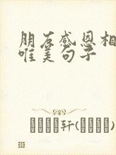 朋友感恩相遇的唯美句子