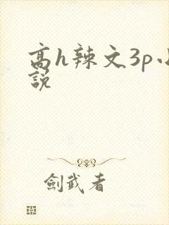 高h辣文3p小说