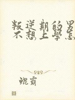 叛逆期的男孩子不想上学怎么办,不想沟通