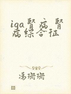 iga肾病 肾病综合征