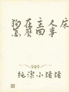 狗在主人床上尿怎么回事