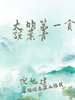 大明第一贪官小说叶青