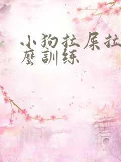 小狗拉屎拉尿怎么训练