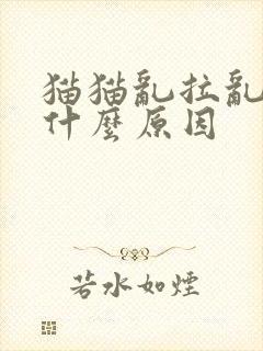 猫猫乱拉乱尿是什么原因