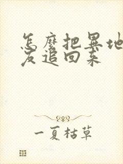 怎么把异地恋男友追回来