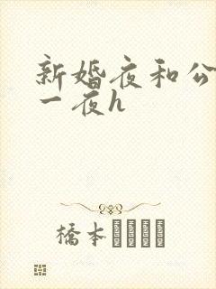 新婚夜和公做了一夜h