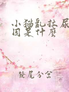 小猫乱拉尿的原因是什么