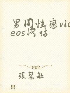 男同性恋videos网站