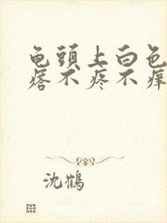 龟头上白色小疙瘩不疼不痒