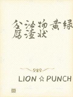 分泌物黄绿色豆腐渣状