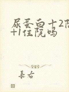尿蛋白十2隐血+1住院吗