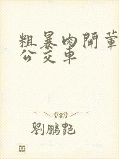 粗暴肉开荤高h公交车